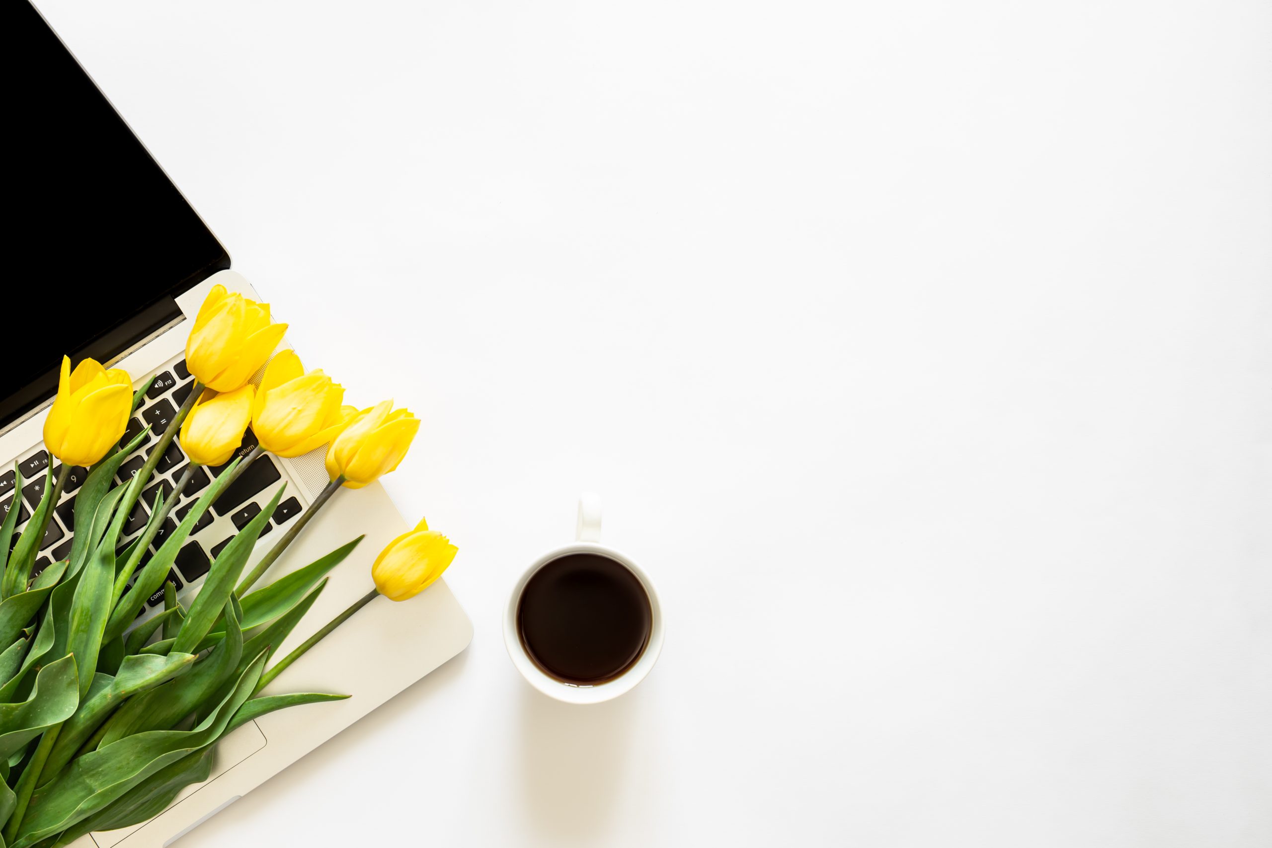 laptop-cup-coffee-bouquet-tulips-white-background-top-view laptop-cup-coffee-bouquet-tulips-white-background-top-view